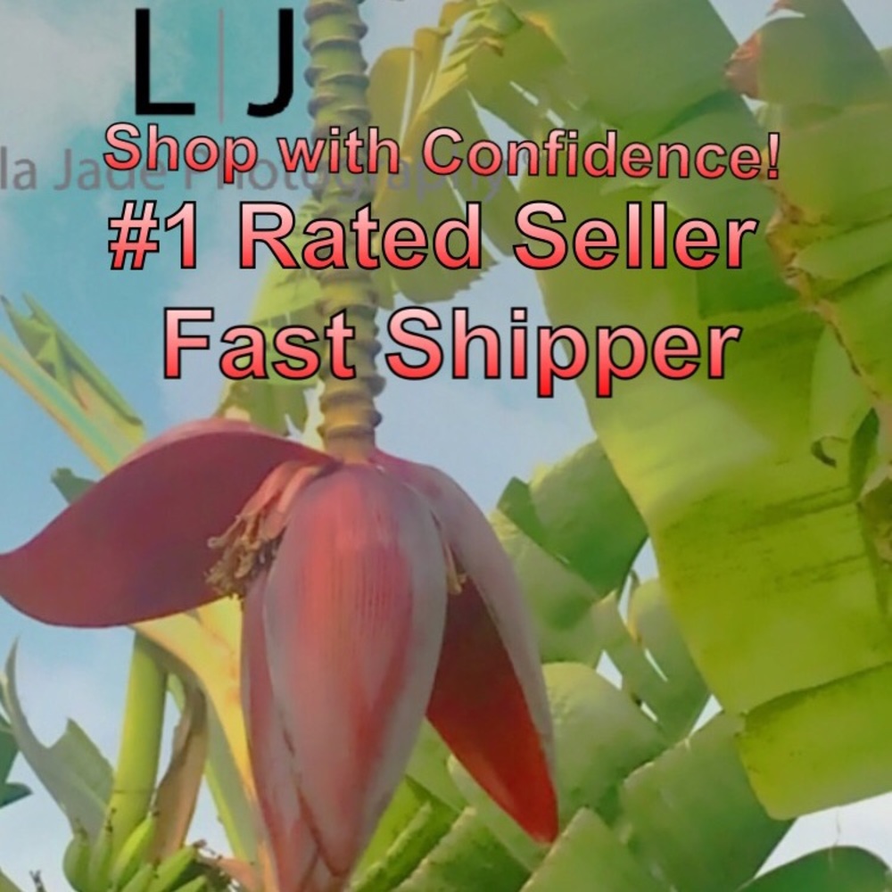 Shop with Confidence! #1 Rated Seller Fast Shipper